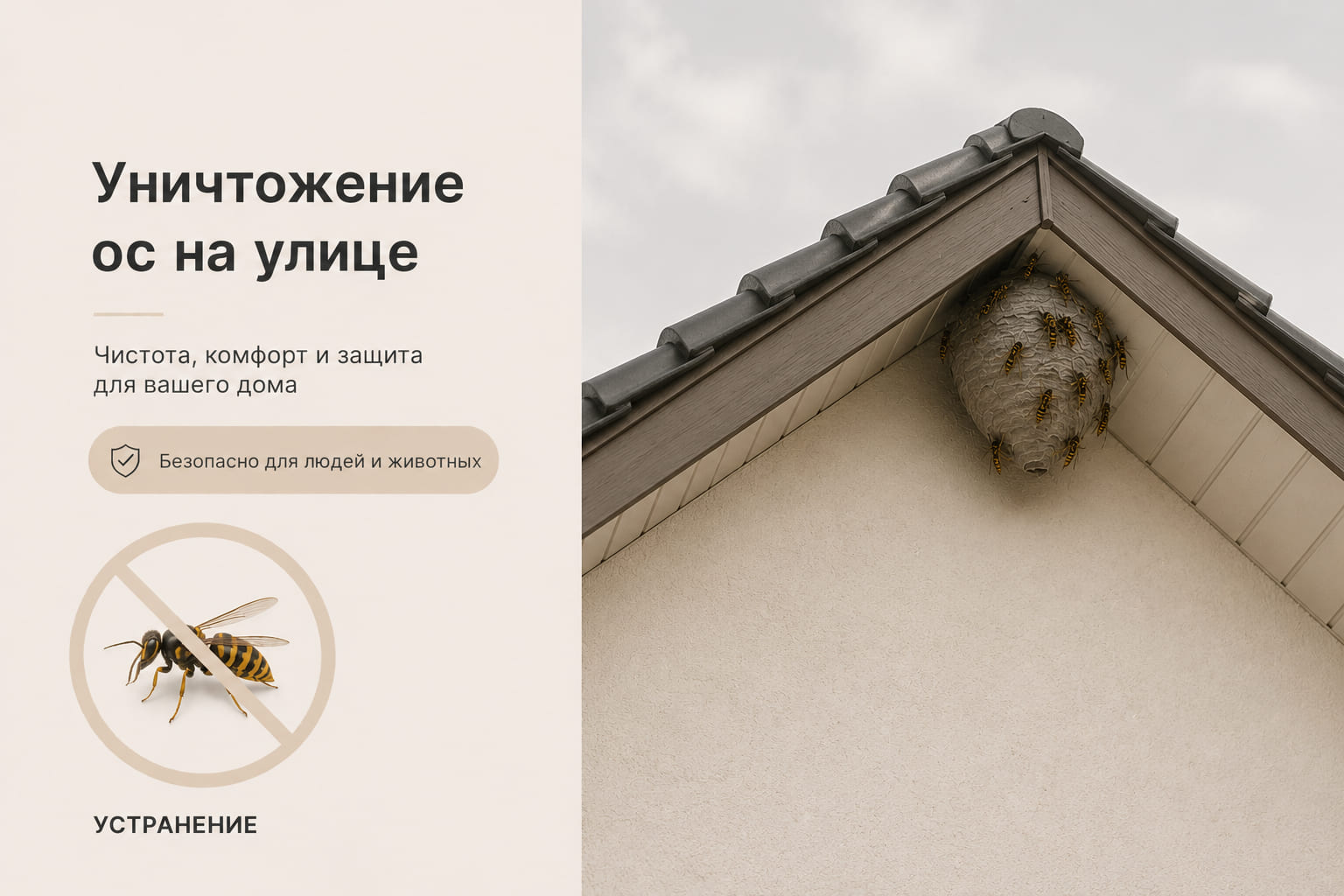 Осы